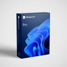 Win 11 Pro 64Bit Eng 1pk DVD