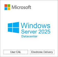 Windows Svr Std 2025