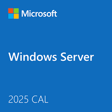 Windows Server CAL 2025 English 5 User
